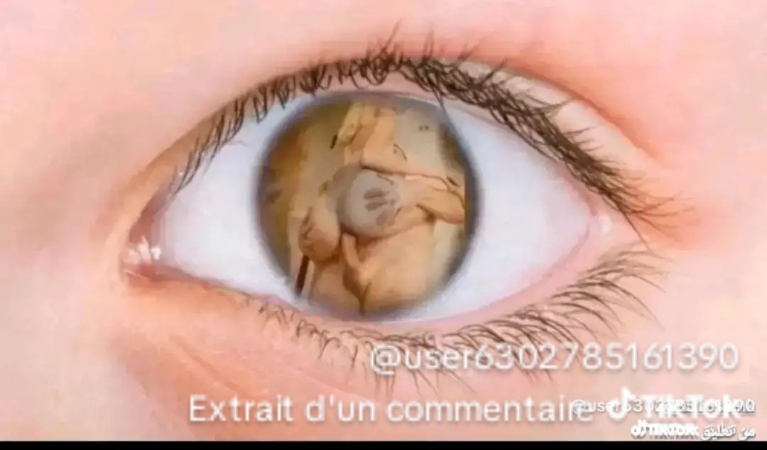 goutetonminou de Paris, France